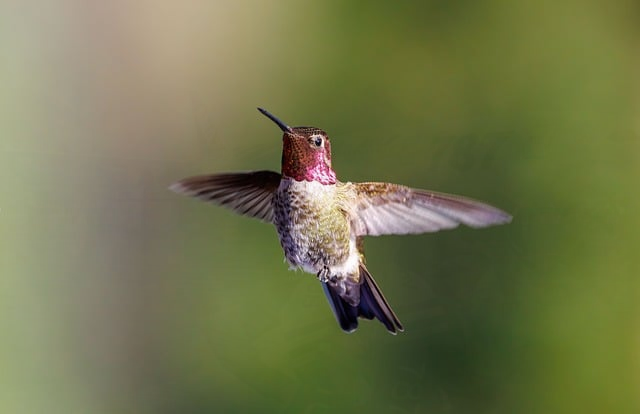 新手快速搞懂什么是pvp游戏-从规则到乐趣一次说清